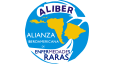 Alianza Iberoamericana de Enfermedades Raras - ALIBER